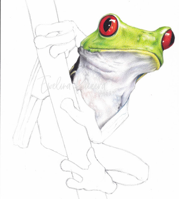 The picture shows 8th step from the tutorial - adding more tones to the frog's body
