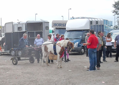 Brigg Horse Fair 2016 - picture four on Nigel Fisher's Brigg Blog