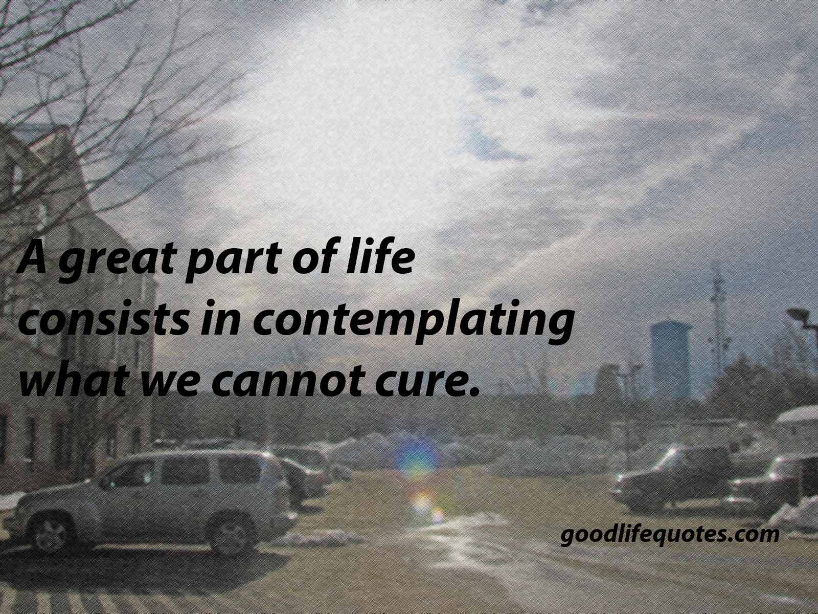 good life quotes 11 a great part of life consists in contemplating