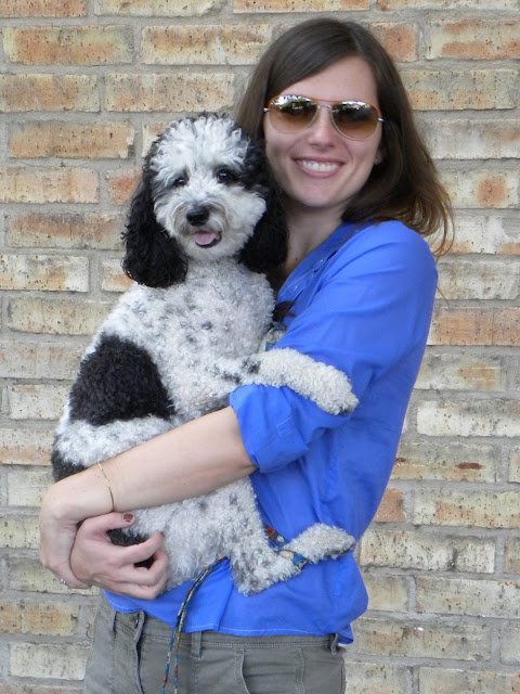 poodle and jcrew shirt