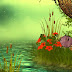 Bunny Mushroom World Escape