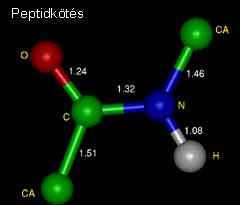 Kovalens kötés (Covalent bond)