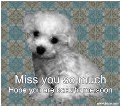 latest HD Miss You images photos wallpepar free download 30