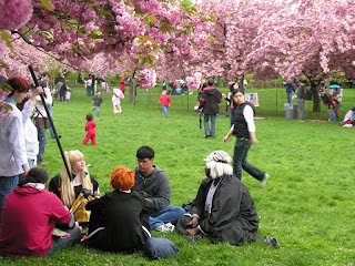 Cosplayers sitting in the grass at the Brooklyn Botanic Garden's Sakura Matsuri