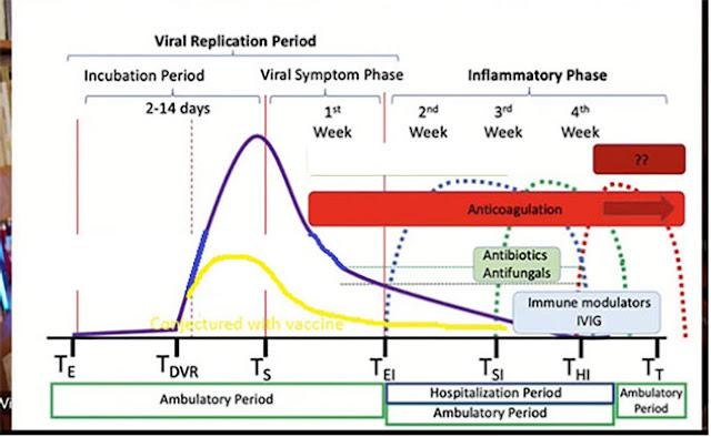 TWIV slide, modified with effect of vaccine conjecture  (in yellow)