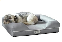 Best Memory Foam Dog Bed - PetFusion Ultimate Dog Lounge