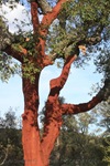 wm_IMG_7347