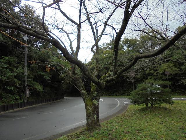 むきばんだ遺跡公園駐車場の入り口