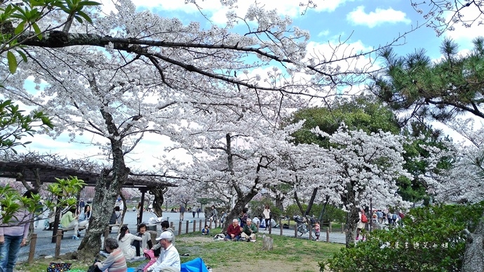 日本京都 嵐山渡月橋 嵐山公園賞櫻 嚐saga Par 五色霜淇淋 彩色霜淇淋 美景配美食好愜意 七先生與艾小姐