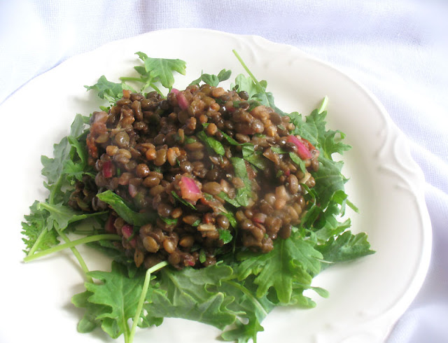 Lentil salad amongst rye berries