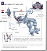 press-de-banco-declinado