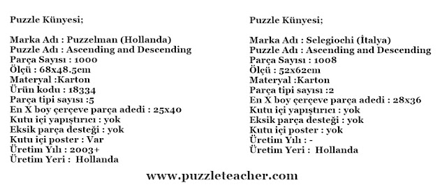 esher puzzle