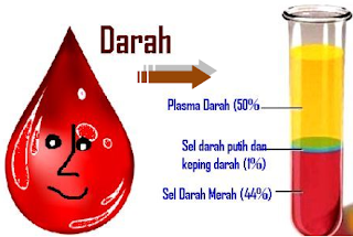 Pengertian Plasma Darah Lengkap Fungsi dan Kandungan Plasma Darah