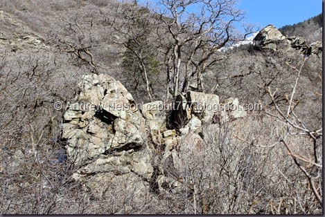 IMG_1914 - Copy