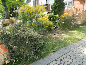 Toronto Deer Park summer garden clean up after by Paul Jung Gardening Services