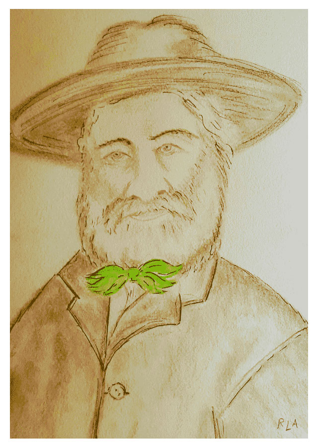 Walt Whitman, dibujo de Rodrigo L. Alonso