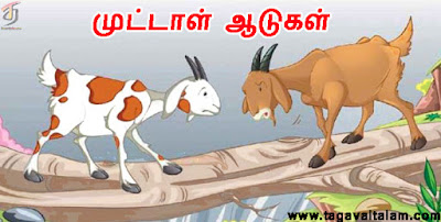 முட்டாள் ஆடுகள்