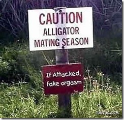 funny sign board (9)