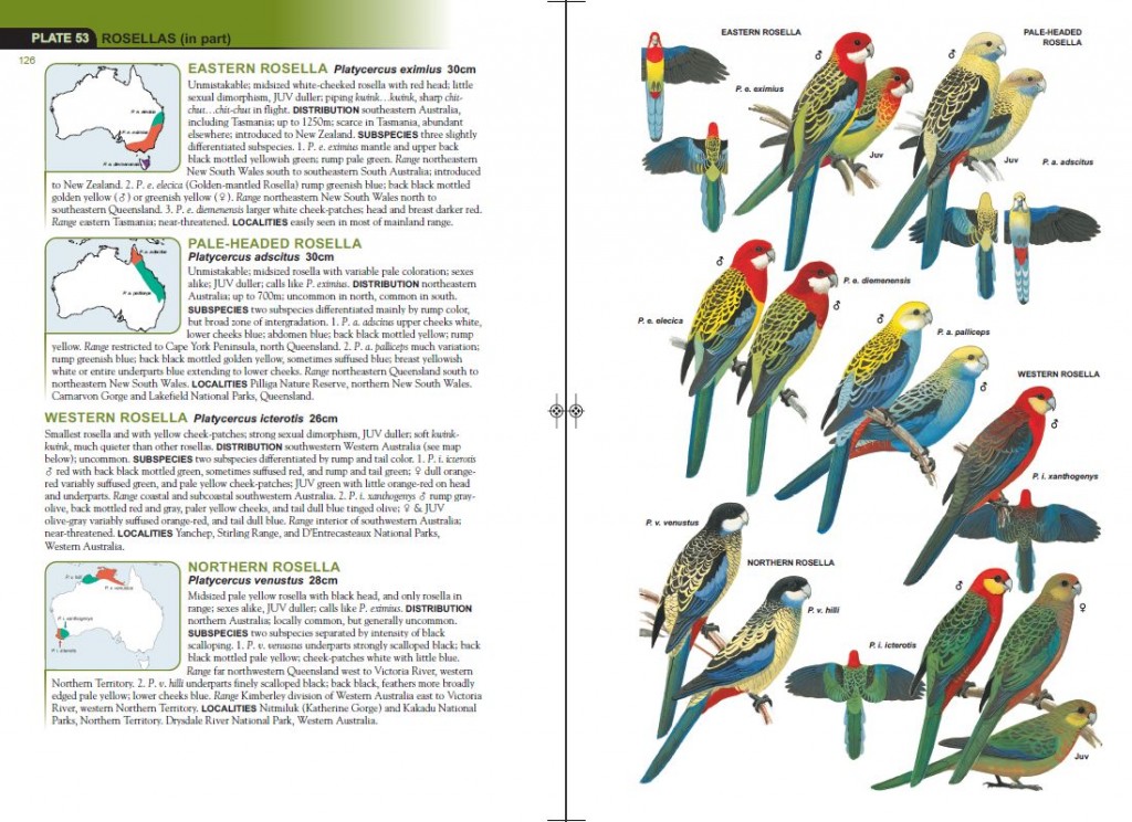 The Birdbooker Report October 2010