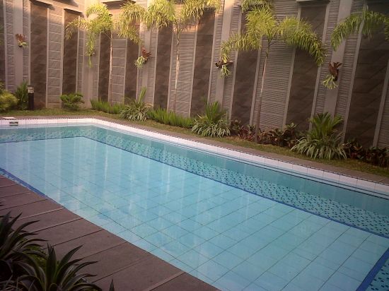 Contoh Kolam Renang Minimalis Belakang Rumah