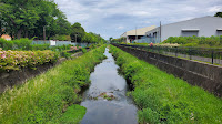 コカコーラ裏の黒目川 降馬橋