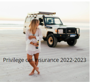 Privilege car insurance 2022-2023