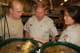 Biologists examine mussels.