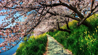 SPRING HD WALLPAPERS
