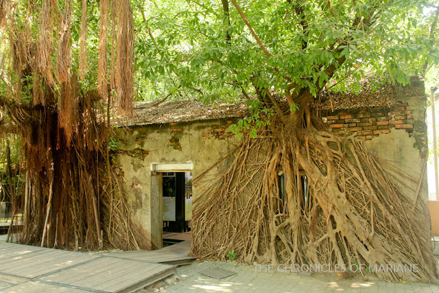 anping treehouse