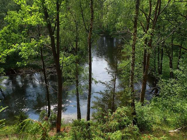 Brda - okolice Woziwody