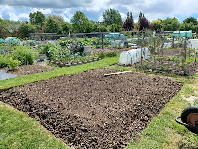 Freshly dug plot