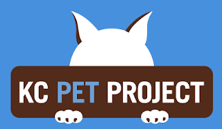 https://kcpetproject.org/adopt/animal-details/?aid=33868130&cid=11&tid=Cat
