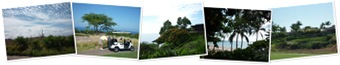 View Monday Kona
