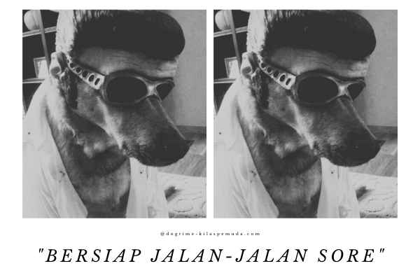 jalan-jalan sore