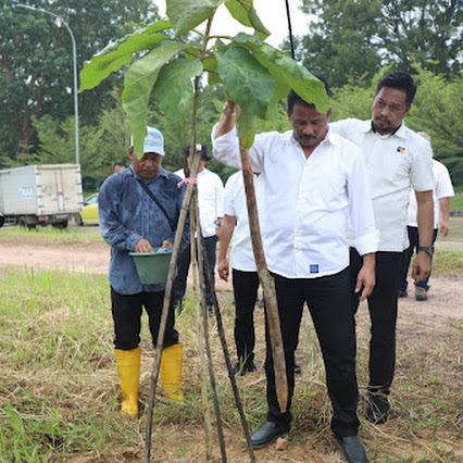 Kepala BP Batam Tinjau Pertumbuhan Pohon Kayu Jati Emas