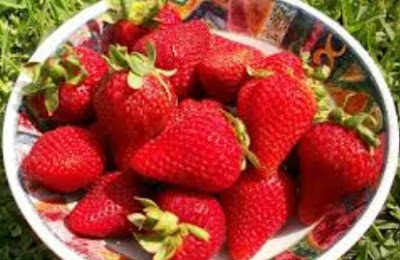 berikut ini manfaat strawberry bagi kesehatan tubuh kita