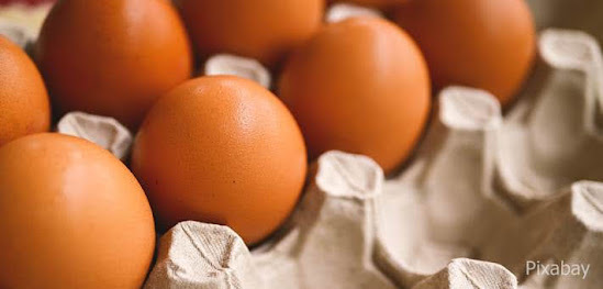 Berita Harga Telur Di Ngawi