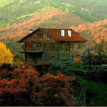 Fotoğrafım