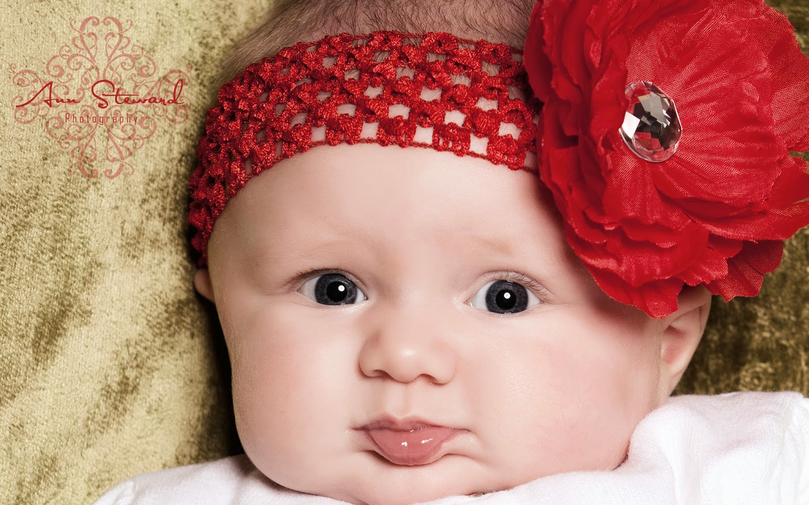 Gambar Bayi Dan Kata Kata Yang Lucu Stok Gambar Lucu