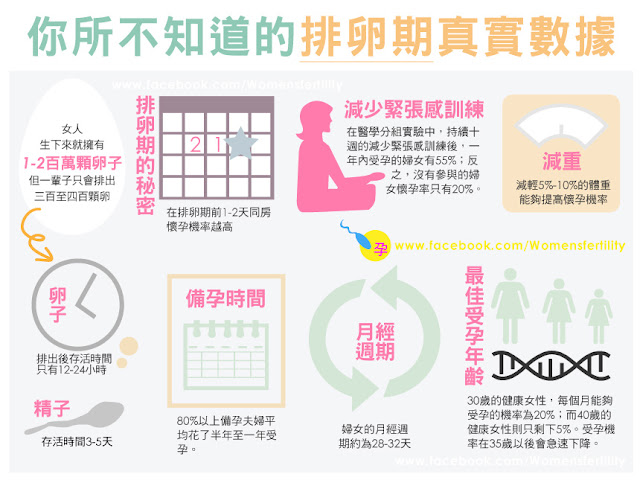 排卵期的真實數據