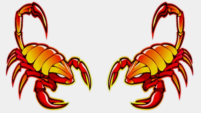 Compatibilità tra Scorpione e Scorpione in amore