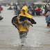 Everything Dog Lovers Need to Know About Hurricane Harvey