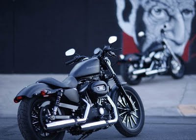 harley davidson 883 iron