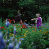 July 10th evening garden tour and wine tasting