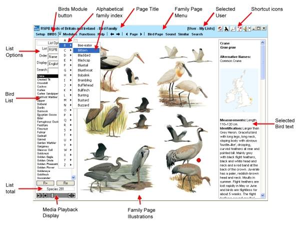 Names Of All Birds