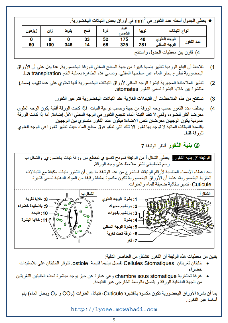  التبادلات الغازية اليخضورية و انتاج المادة العضوية -5