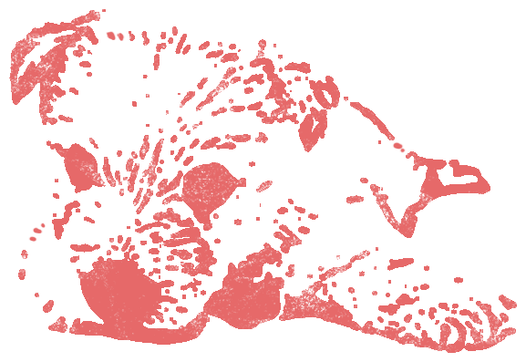 dog11
