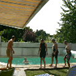 Afficher l'album