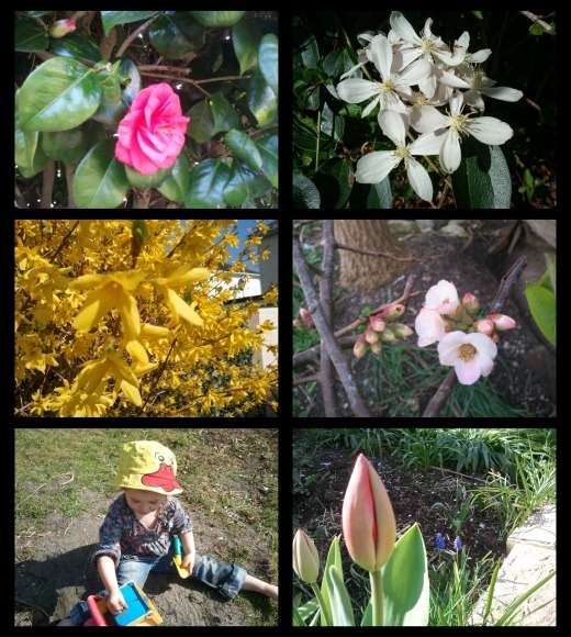 Spring montage