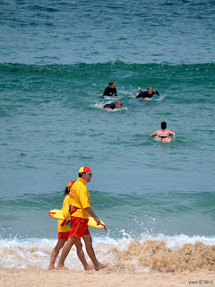 bondi beach, sydney